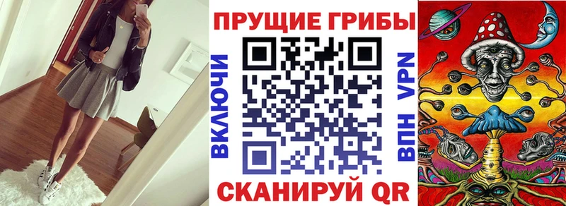 Купить где Озёрск Псилоцибиновые грибы мицелий